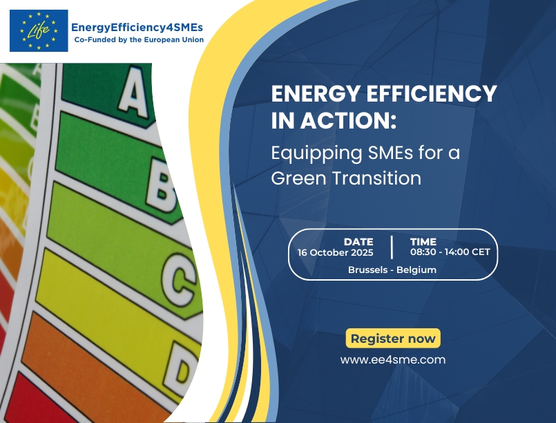 Read more about the article Energy Efficiency in action: Equipping SMEs for a Green Transition